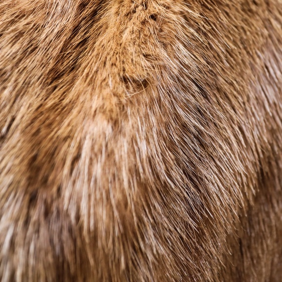 VINTAGE CARAMEL FOX FUR COAT - Picture 4 of 7
